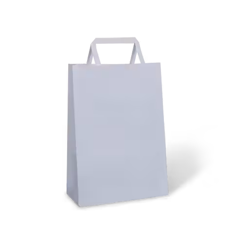 Paper Carry Bag 285 x 200 x 100 White (per 50 bags)