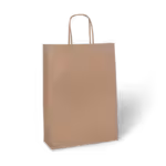 carry bag paper fete
