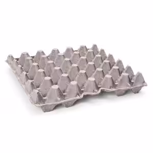 30 egg tray