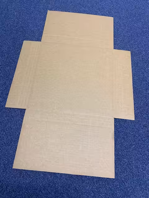 plain vinyl mailer