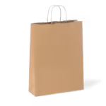 Paper Carry Bag 420 x 320 x 110 (per 50 bags)