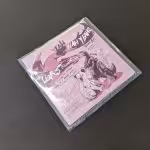 record plastic sleeve