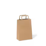 Paper Carry Bag 285 x 200 x 100 Brown (per 100 bags)